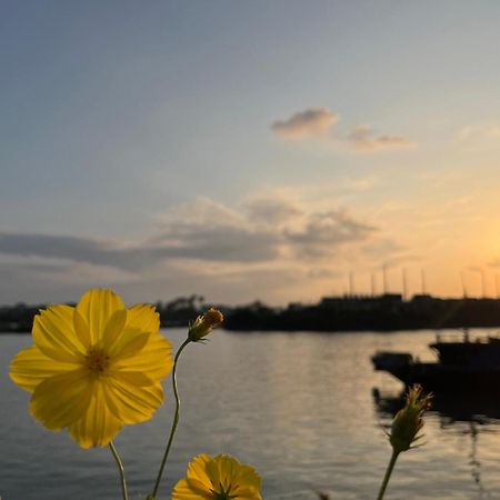 Roxana River Villa Hoi An Bagian luar foto